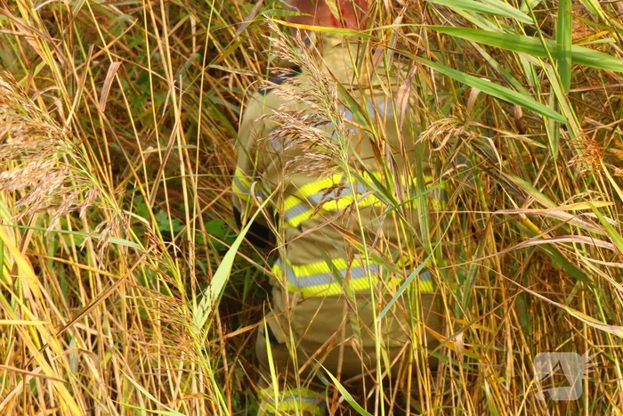 Brandweer assisteert dierenambulance bij zoektocht naar kat