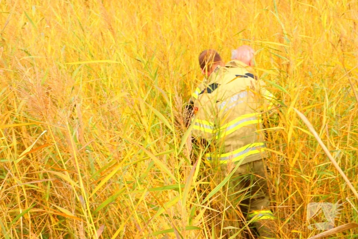 Brandweer assisteert dierenambulance bij zoektocht naar kat