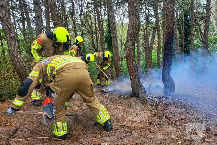 Brandweer grijpt in bij brandstichting in bos