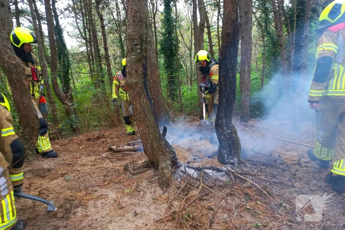 Brandweer grijpt in bij brandstichting in bos