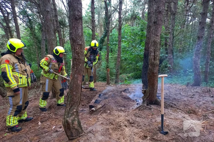 Brandweer grijpt in bij brandstichting in bos