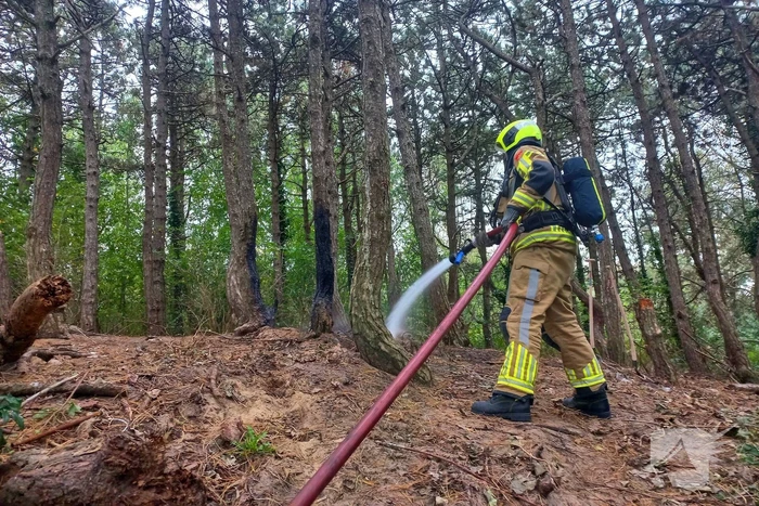 Brandweer grijpt in bij brandstichting in bos