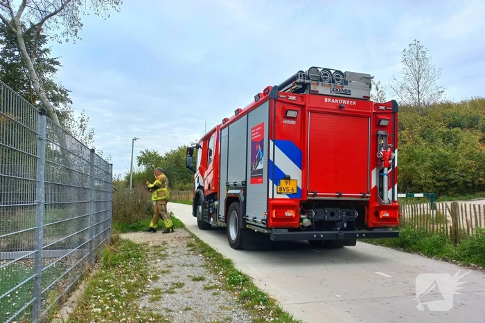 Brandweer grijpt in bij brandstichting in bos