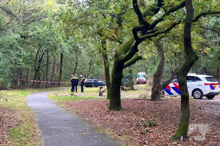 Vier gewonden bij frontale botsing in bos
