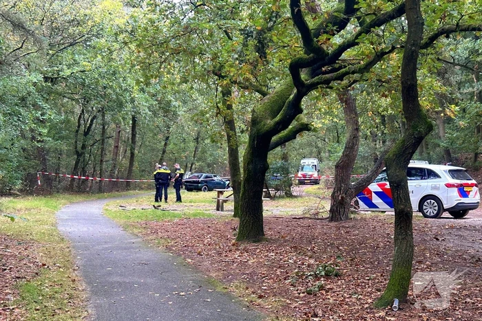 Vier gewonden bij frontale botsing in bos