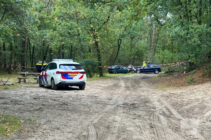 Vier gewonden bij frontale botsing in bos