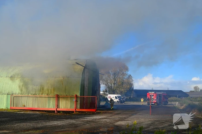 brand greunsweg leeuwarden