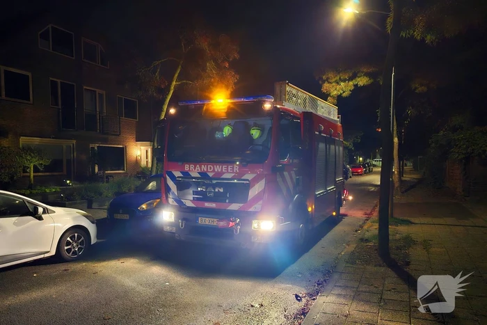 Overleden persoon aangetroffen in bosperceel