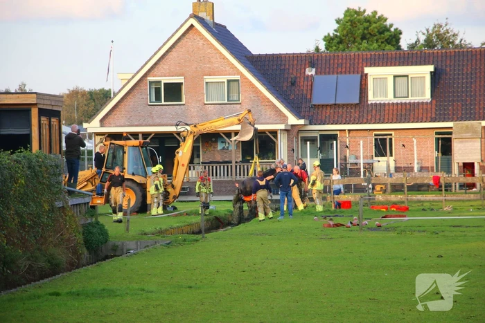 Paard valt opnieuw in sloot bij reddingsactie