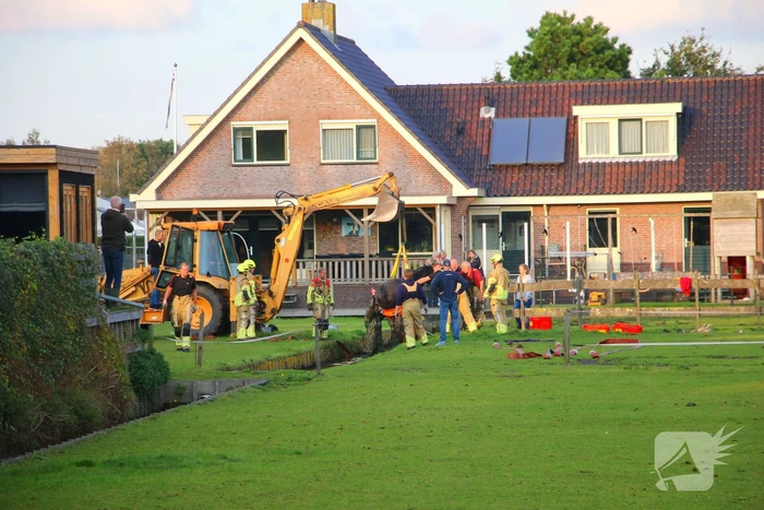 Paard valt opnieuw in sloot bij reddingsactie