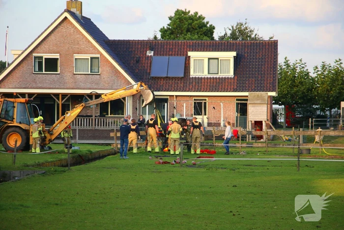 Paard valt opnieuw in sloot bij reddingsactie