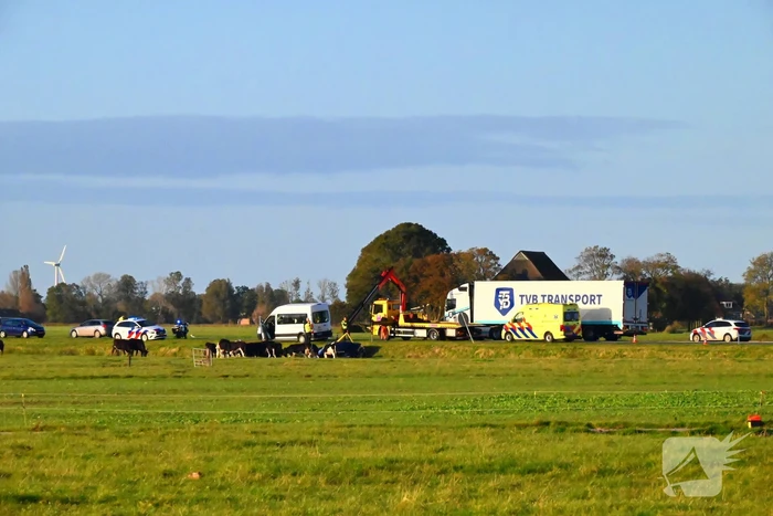 Automobilist raakt van de weg belandt in sloot