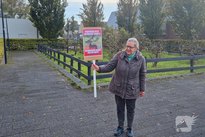 Protest bij gemeentehuis tegen afschieten damherten