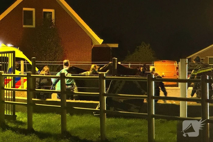 Traumateam ingezet voor ongeval op manage