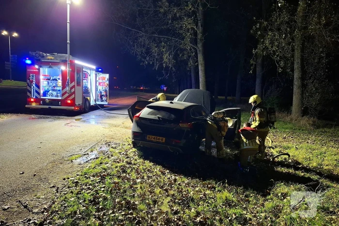 brand trekwei marsum