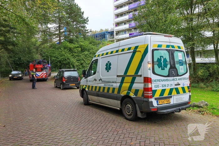 Brand in flatwoning snel onder controle