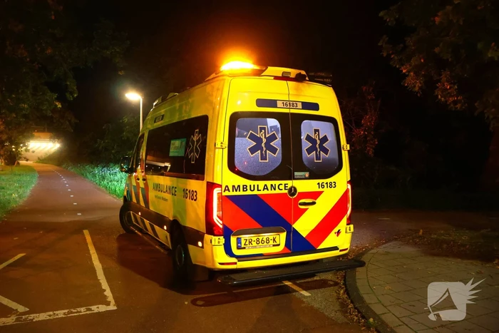 Automobilist knalt tegen verkeerspaal