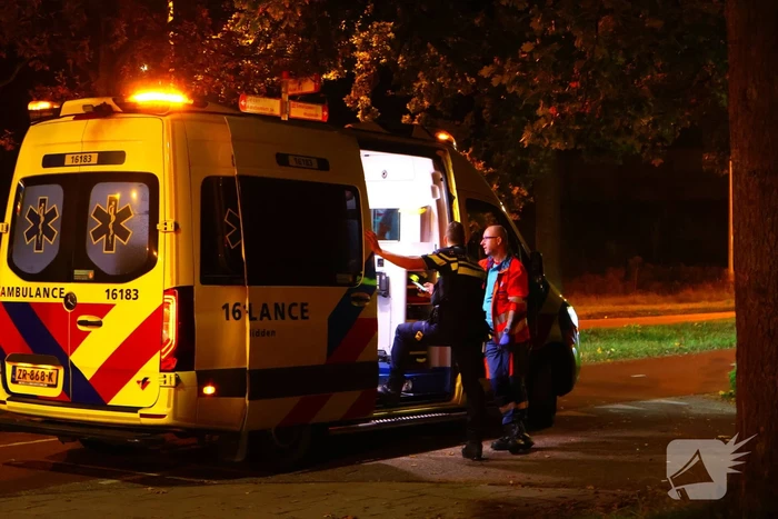 Automobilist knalt tegen verkeerspaal