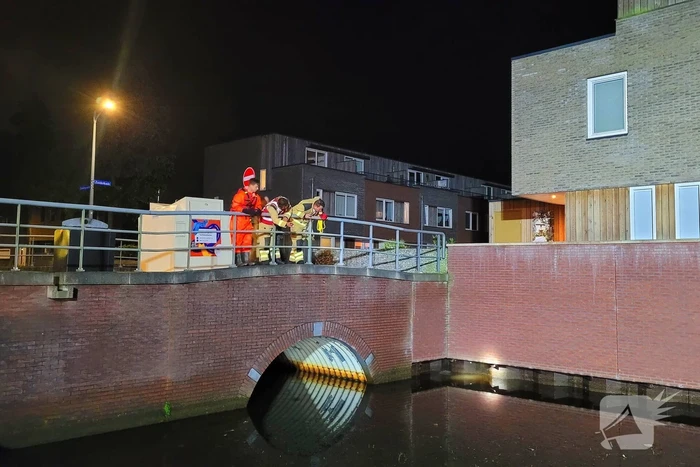 Brandweer redt kat uit water