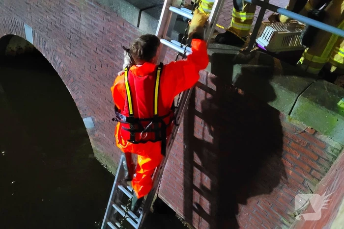nieuws zuidergracht assen