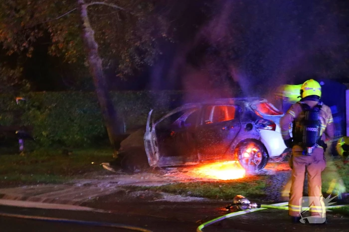 Auto uitgebrand na crash tegen boom