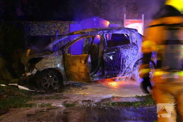 Auto uitgebrand na crash tegen boom