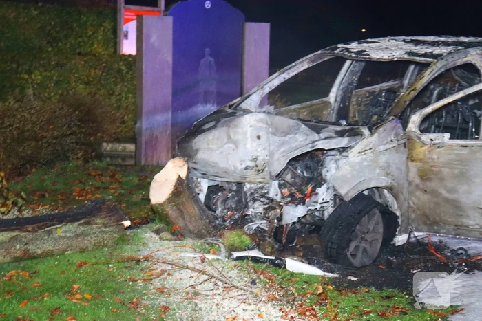 Auto uitgebrand na crash tegen boom