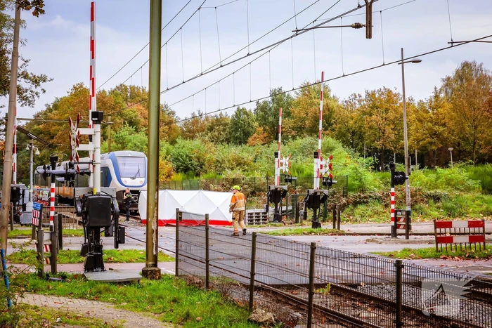 Treinverkeer gestremd door aanrijding met persoon
