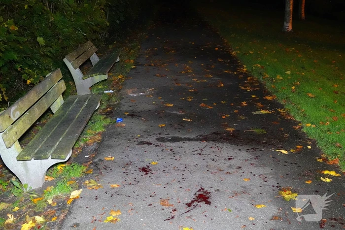 Politie treft gewonden en messen na steekpartij