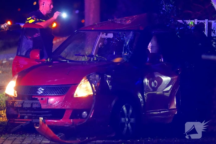 Auto raakt van de weg, botst tegen boom en eindigt in voortuin