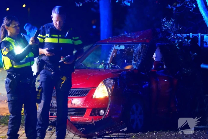 Auto raakt van de weg, botst tegen boom en eindigt in voortuin