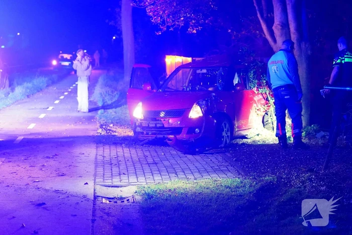 Auto raakt van de weg, botst tegen boom en eindigt in voortuin
