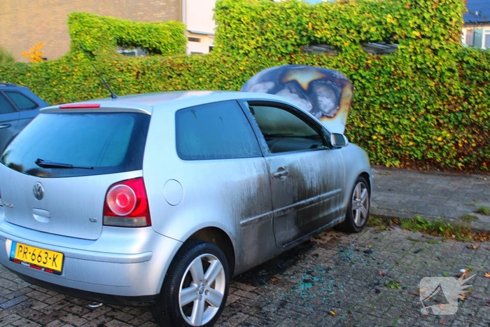 Personenwagen total-loss door brand