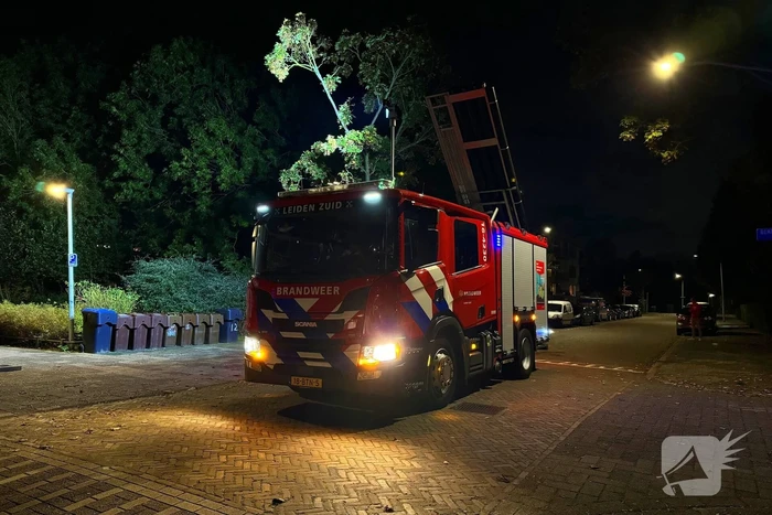 Brandweer weet kat uit dakgoot te pakken
