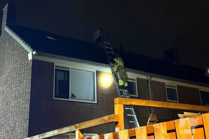 Brandweer weet kat uit dakgoot te pakken