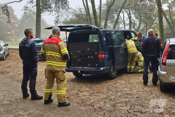 Brandweer redt hond uit benarde situatie