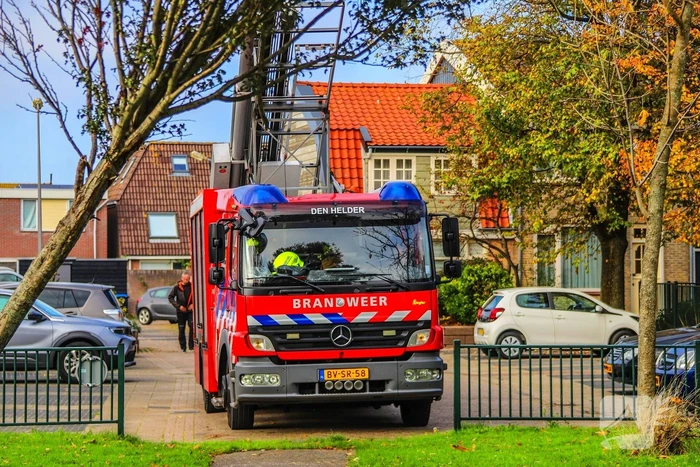 Brandweer redt kind uit boom