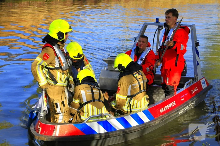 Brandweer zet alles op alles om ree te vangen