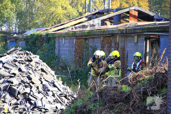 Brandweer zet alles op alles om ree te vangen