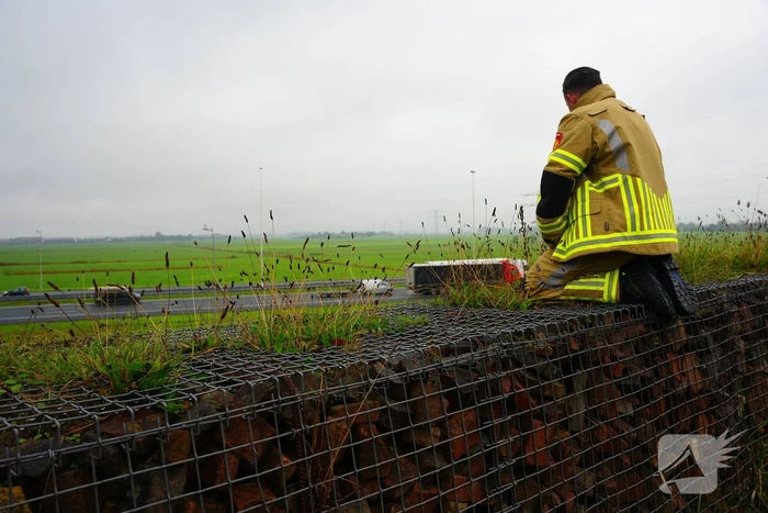 Brandweer op zoek naar vastzittend schaap