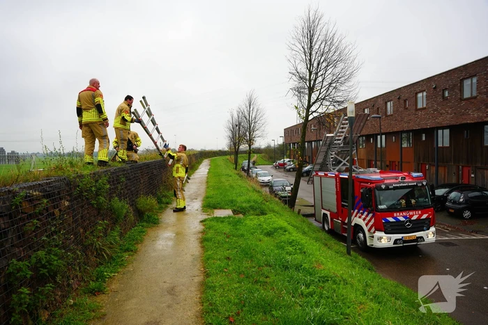 Brandweer op zoek naar vastzittend schaap