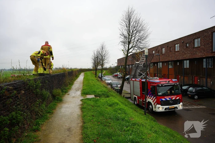 Brandweer op zoek naar vastzittend schaap