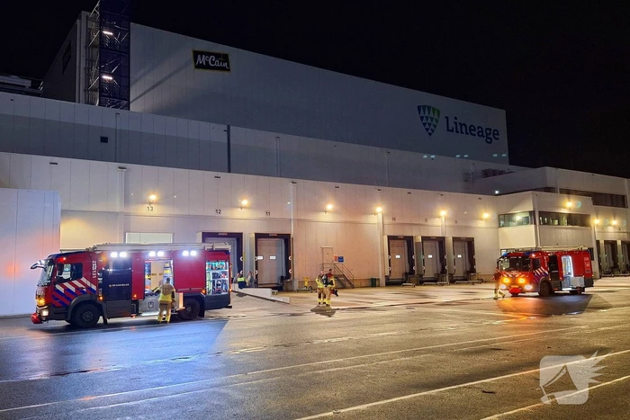 brand de serpeling lelystad