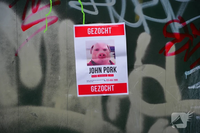 Opmerkelijke gezocht-posters opgehangen