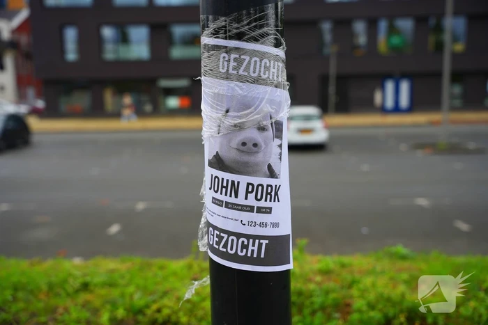 Opmerkelijke gezocht-posters opgehangen