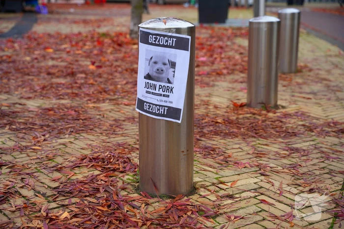 Opmerkelijke gezocht-posters opgehangen