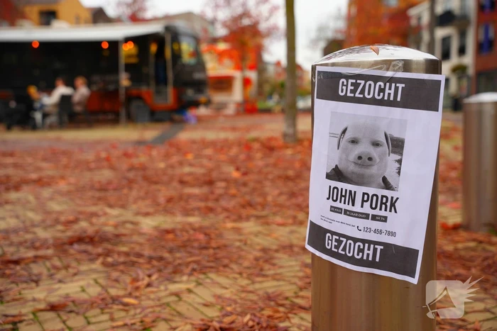 Opmerkelijke gezocht-posters opgehangen