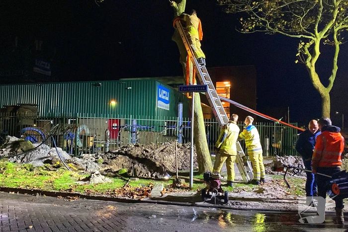 Boom dreigt om te vallen na wateroverlast en zorgt voor gevaar wegens gasleiding