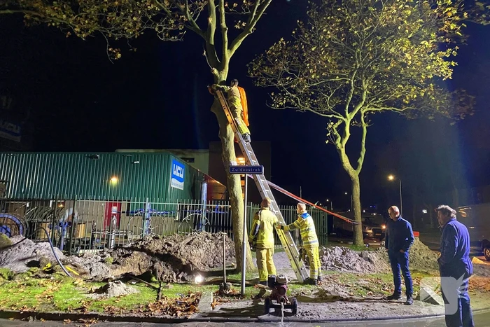 Boom dreigt om te vallen na wateroverlast en zorgt voor gevaar wegens gasleiding