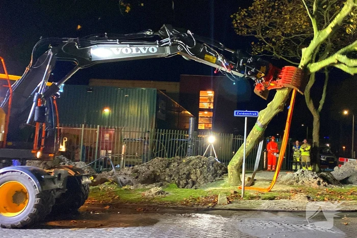 Boom dreigt om te vallen na wateroverlast en zorgt voor gevaar wegens gasleiding